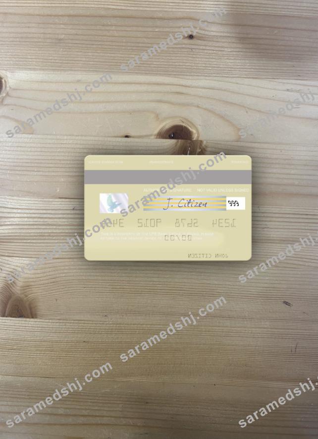 Latvia LPB Bank visa debit card photolook back